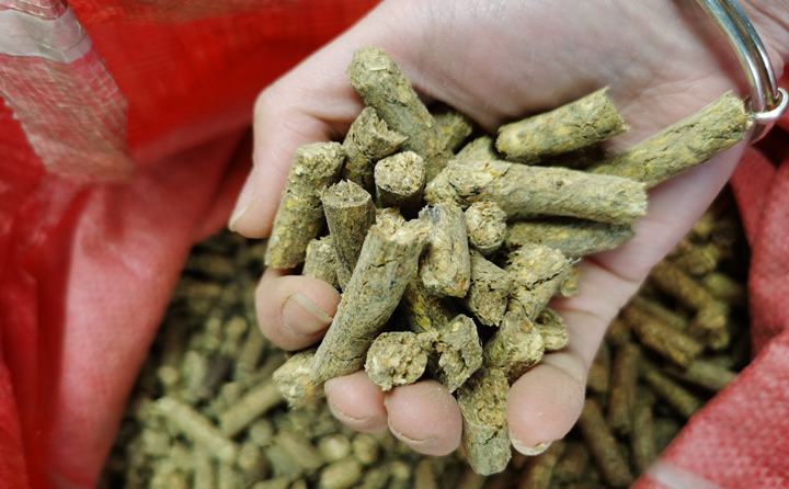 樹皮顆粒機(jī)顆粒燃料 樹皮顆粒機(jī)顆粒燃料