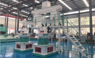 補貼時代，生物質顆粒市場如何了呢？你想知道的在這里